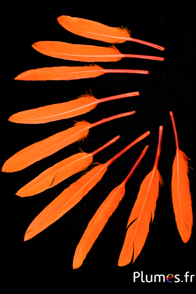 Oie Lame - 10-15 cm - orange